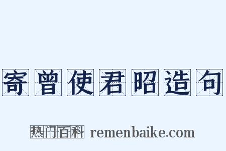 寄曾使君昭造句是什么意思的图片